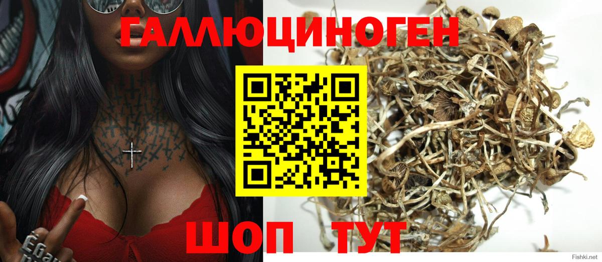 Зеленодольск  закладка  Вход с VPN  Галлюциногенные грибы ЛСД 