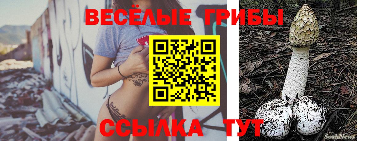 Галлюциногенные грибы Cubensis  Зеленодольск  Галлюциногенные грибы мухоморы 