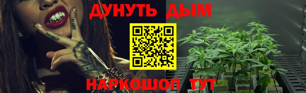 Бошки Шишки тримм  Бошки марихуана Bruce Banner  Бошки Шишки VHQ  Бошки Шишки гибрид  Вход с VPN  Зеленодольск 
